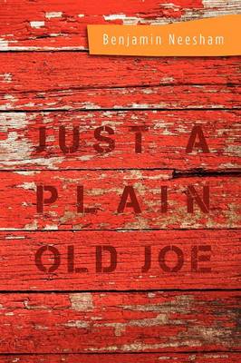 Book cover for Just a Plain Old Joe