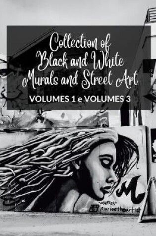 Cover of Collection of Black and White Murals and Street Art - Volumes 1 and 3