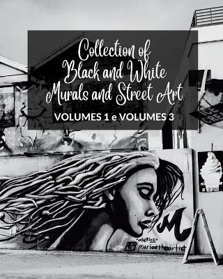 Book cover for Collection of Black and White Murals and Street Art - Volumes 1 and 3