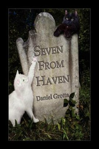 Cover of Seven from Haven