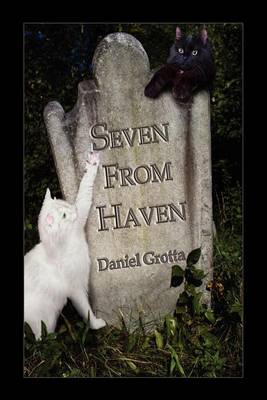 Book cover for Seven from Haven