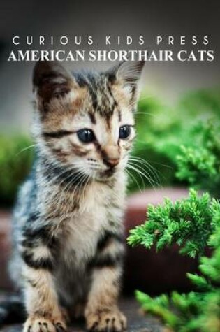 Cover of American Shorthair Cat - Curious Kids Press