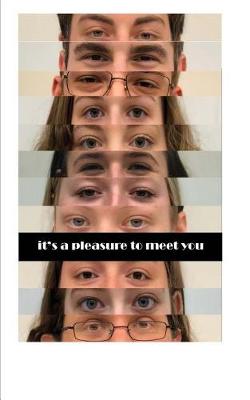 Book cover for It's A Pleasure To Meet You