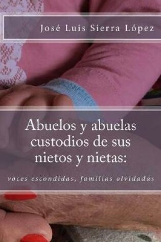 Cover of Abuelos y abuelas custodios de sus nietos y nietas