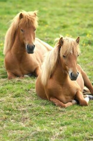 Cover of Two Icelandic Ponies Animal Journal