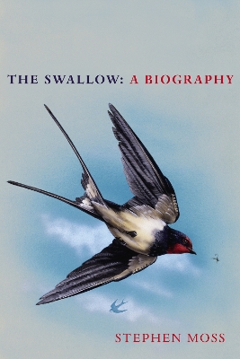 Book cover for The Swallow