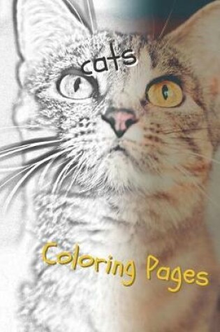 Cover of Cats