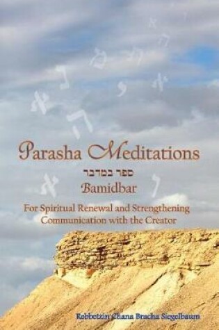 Cover of Parasha Meditations