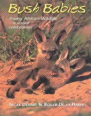 Book cover for Bushbabies