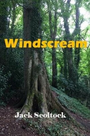 Cover of Windscream