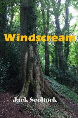 Book cover for Windscream