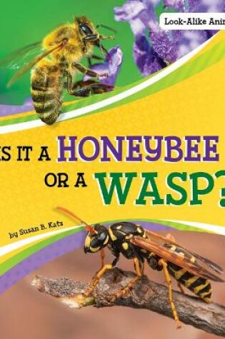 Cover of Is it a Honeybee or a Wasp
