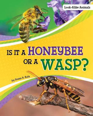 Book cover for Is it a Honeybee or a Wasp