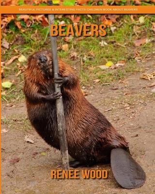 Book cover for Beavers