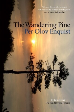 Cover of The Wandering Pine