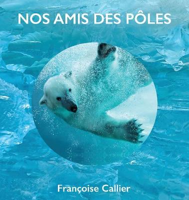 Book cover for NOS AMIS des POELES