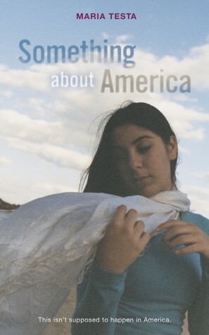 Book cover for Something About America