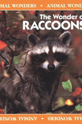 Cover of The Wonder of Raccoons