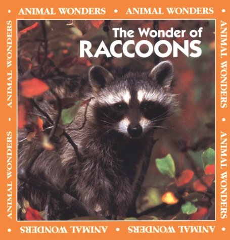 Book cover for The Wonder of Raccoons