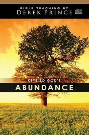 Cover of Keys to God's Abundance