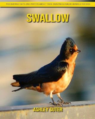 Book cover for Swallow