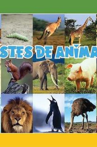Cover of Chistes de Animales