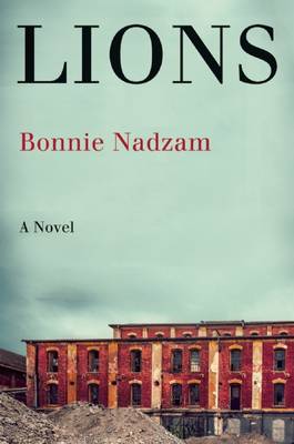 Book cover for Lions