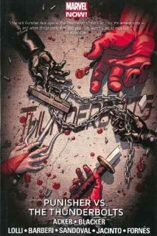 Cover of Thunderbolts Volume 5: Punisher vs. the Thunderbolts (Marvel Now)