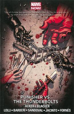 Book cover for Thunderbolts Volume 5: Punisher vs. the Thunderbolts (Marvel Now)
