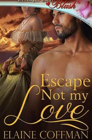 Cover of Escape Not My Love