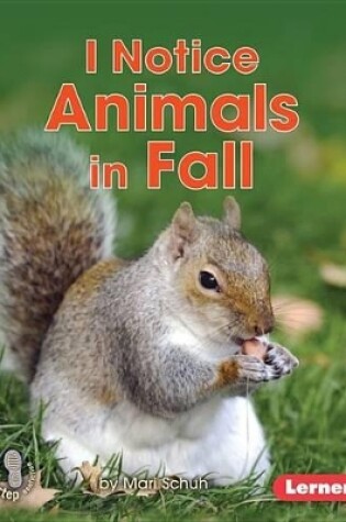 Cover of I Notice Animals in Fall