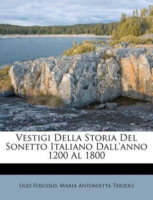 Book cover for Vestigi Della Storia del Sonetto Italiano Dall'anno 1200 Al 1800