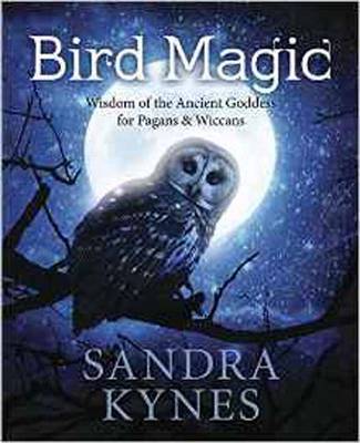 Book cover for Bird Magic
