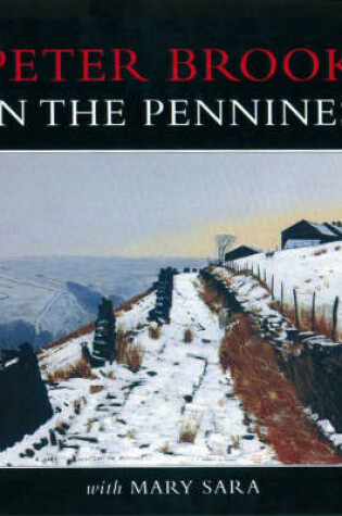 Cover of Peter Brook in the Pennines