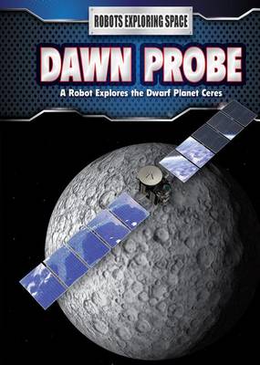 Book cover for Dawn Probe
