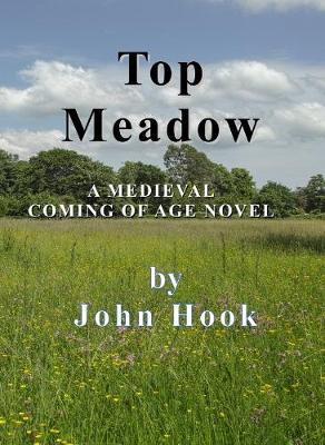 Book cover for Top Meadow