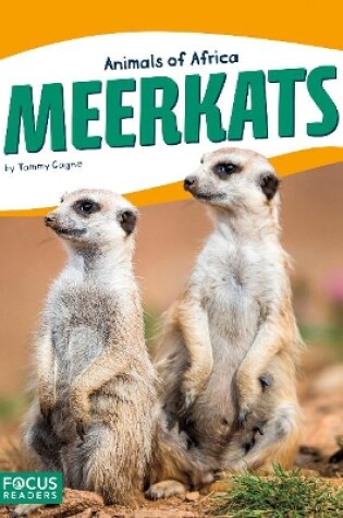 Cover of Animals of Africa: Meerkats