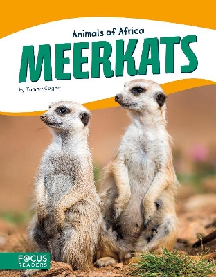 Book cover for Meerkats