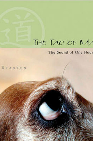 Cover of The Tao of Maggie
