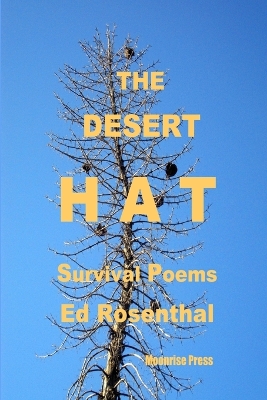Book cover for The Desert Hat