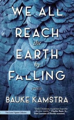 Book cover for We All Reach the Earth by Falling