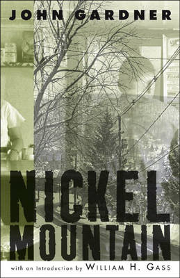 Book cover for Nickel Mountain