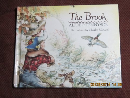 Book cover for The Brook