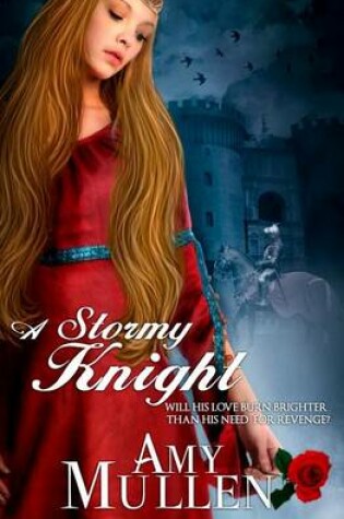 Cover of A Stormy Knight