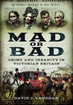 Book cover for Mad or Bad: Crime and Insanity in Victorian Britain