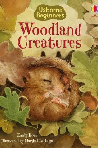 Cover of Woodland Creatures