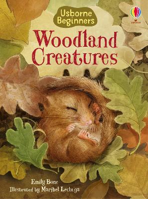 Book cover for Woodland Creatures