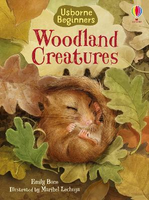 Cover of Woodland Creatures