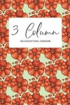 Book cover for 3 Column Accounting Ledger