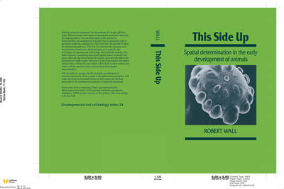 Cover of This Side Up